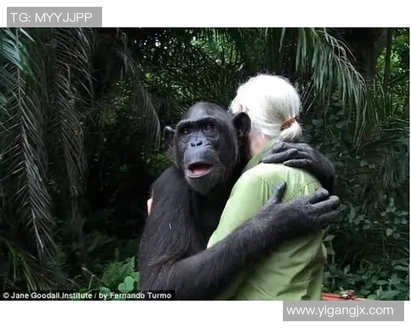 外国足球明星亲密接触熊猫展现友谊与环保意识的美好瞬间 外国足球明星亲密接触熊猫展现友谊与环保意识的美好瞬间