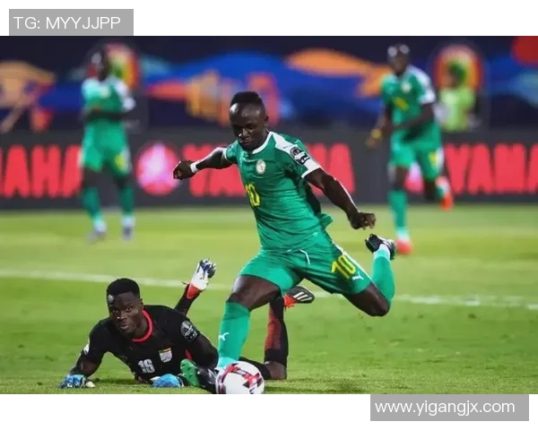 非洲足球明星在国际赛场上的辉煌成就与未来发展展望 非洲足球明星在国际赛场上的辉煌成就与未来发展展望