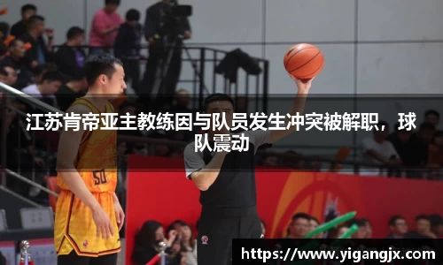 芒果体育官网入口