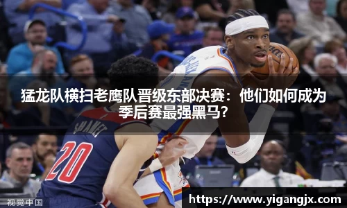 芒果体育官网入口