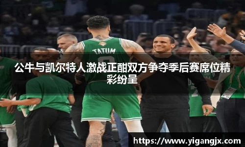 公牛与凯尔特人激战正酣双方争夺季后赛席位精彩纷呈