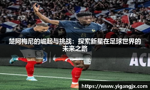 芒果体育官网入口
