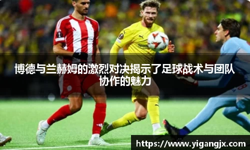 芒果体育官网入口