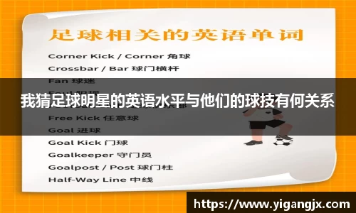 芒果体育官网入口